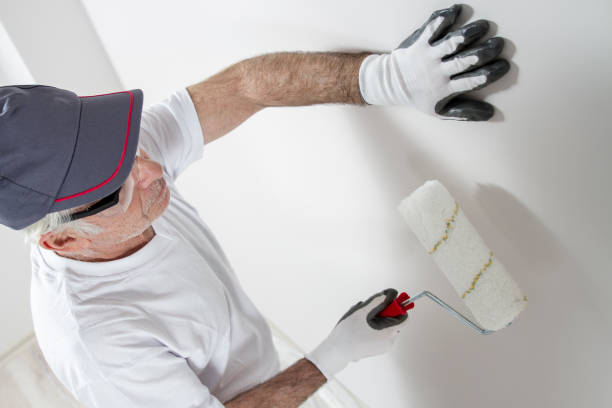 Best Post-Construction Mold Inspection  in Brooklyn, WI