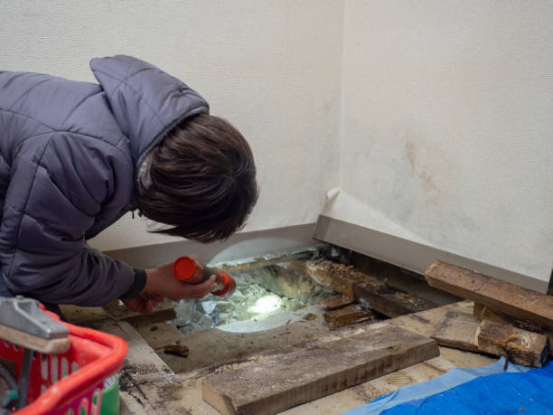 Best Biohazard Mold Removal  in Brooklyn, WI