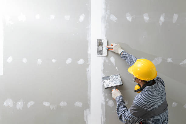 Best Mold Removal for HVAC Installations  in Brooklyn, WI