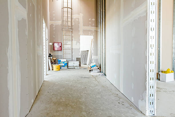 Best Commercial Mold Inspection  in Brooklyn, WI